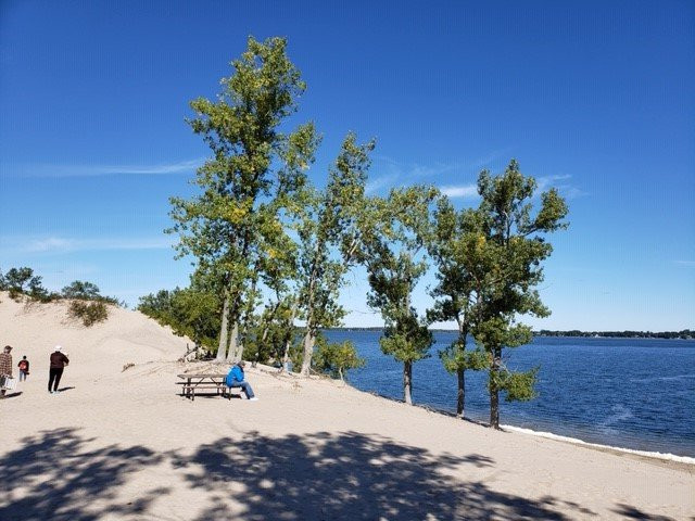 Dunes Beach景点图片