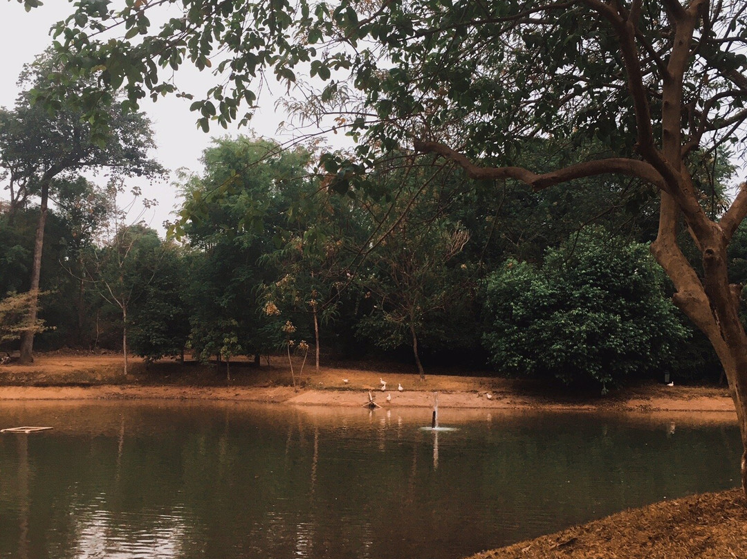 Parque Municipal de Sorriso景点图片