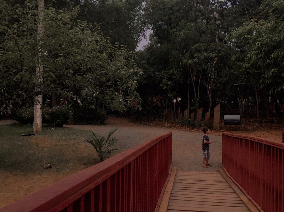 Parque Municipal de Sorriso景点图片