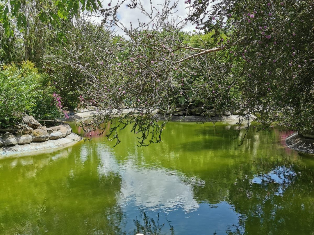 Parco Della Resistenza - Giardini pubblici-奥里斯塔诺省必去景点
