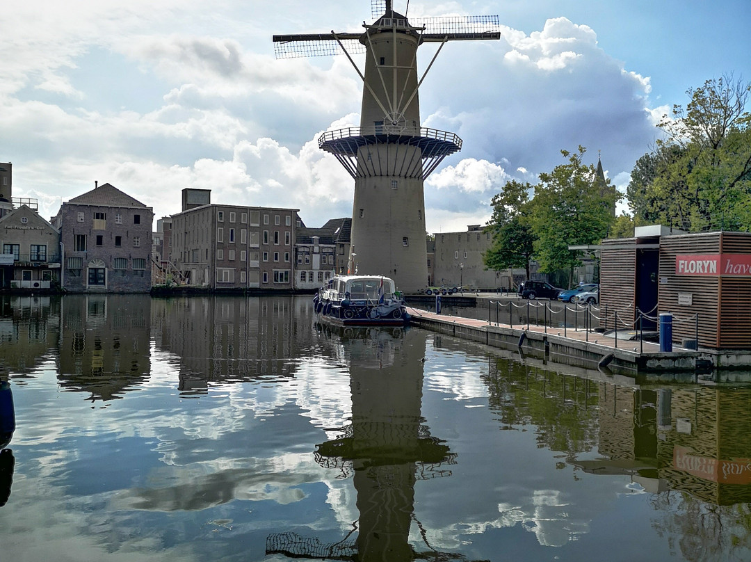 City Rotterdam Tours-鹿特丹必去景点