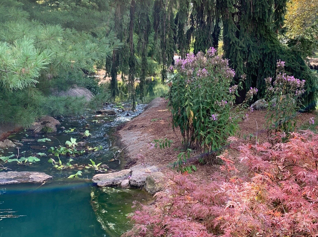 Mizumoto Japanese Stroll Garden景点图片