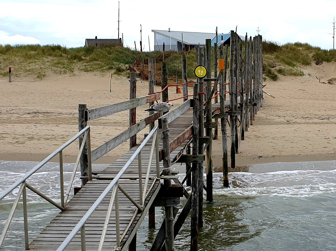Waddenveer De Vriendschap景点图片