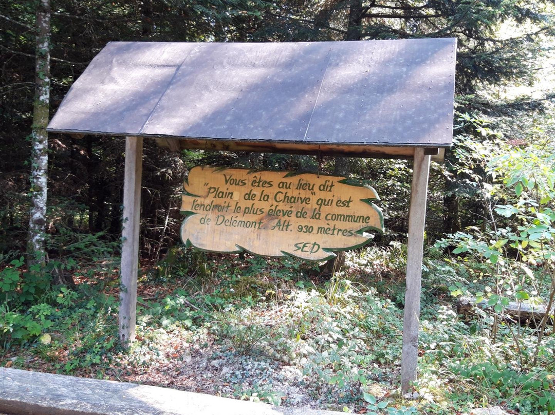 Haute-borne-德莱蒙必去景点