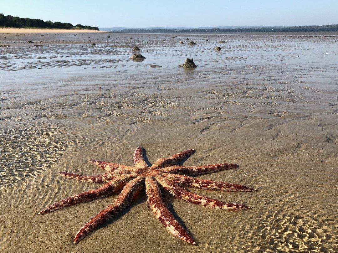 Maputo Blue-马布多必去景点