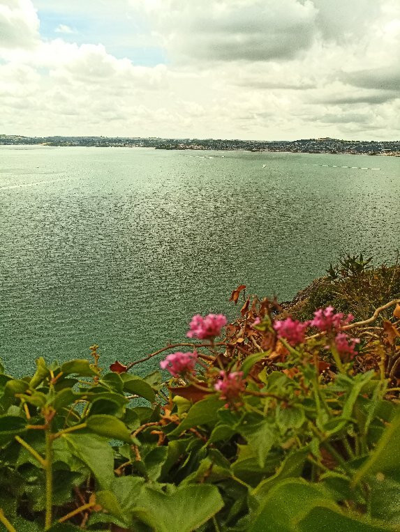 South West Coast Path Walk- Meadfoot & London Bridge-托基必去景点