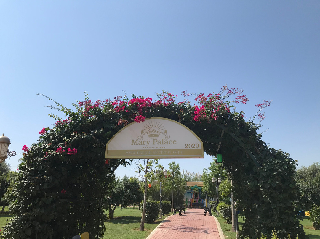 Mary Hotels Side主图