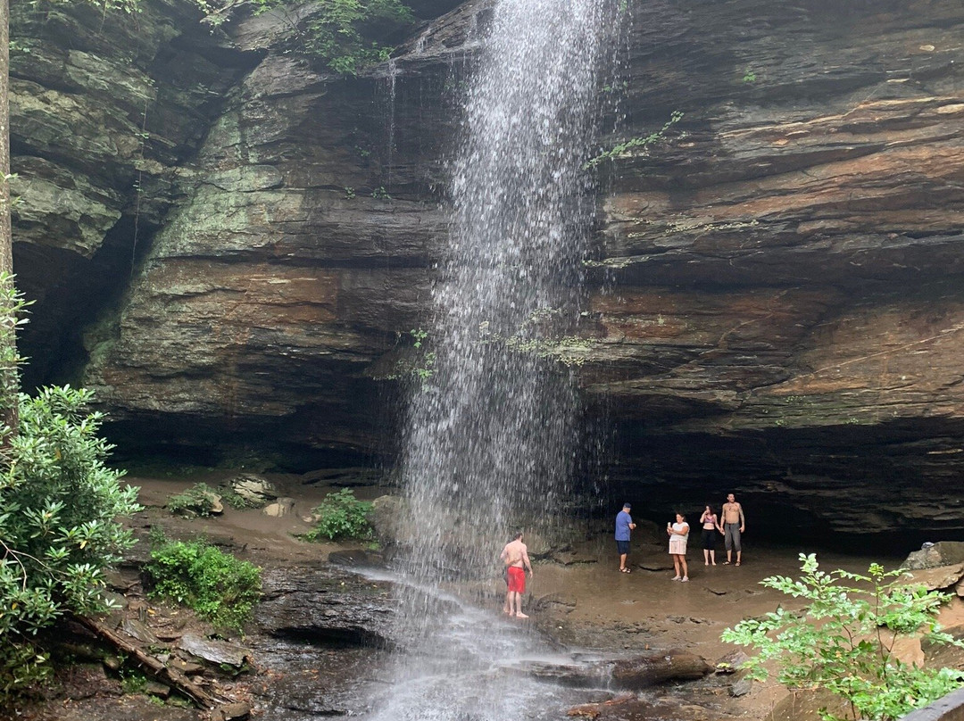 Moore Cove Falls景点图片