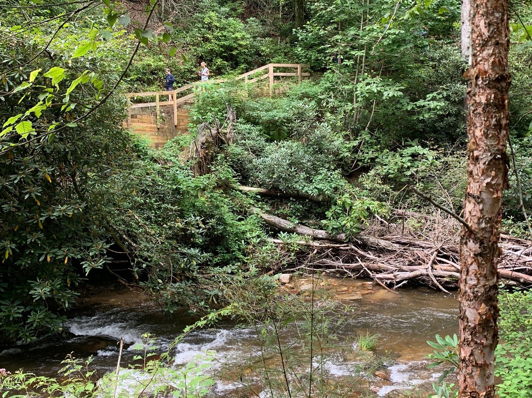Moore Cove Falls-Pisgah Forest必去景点