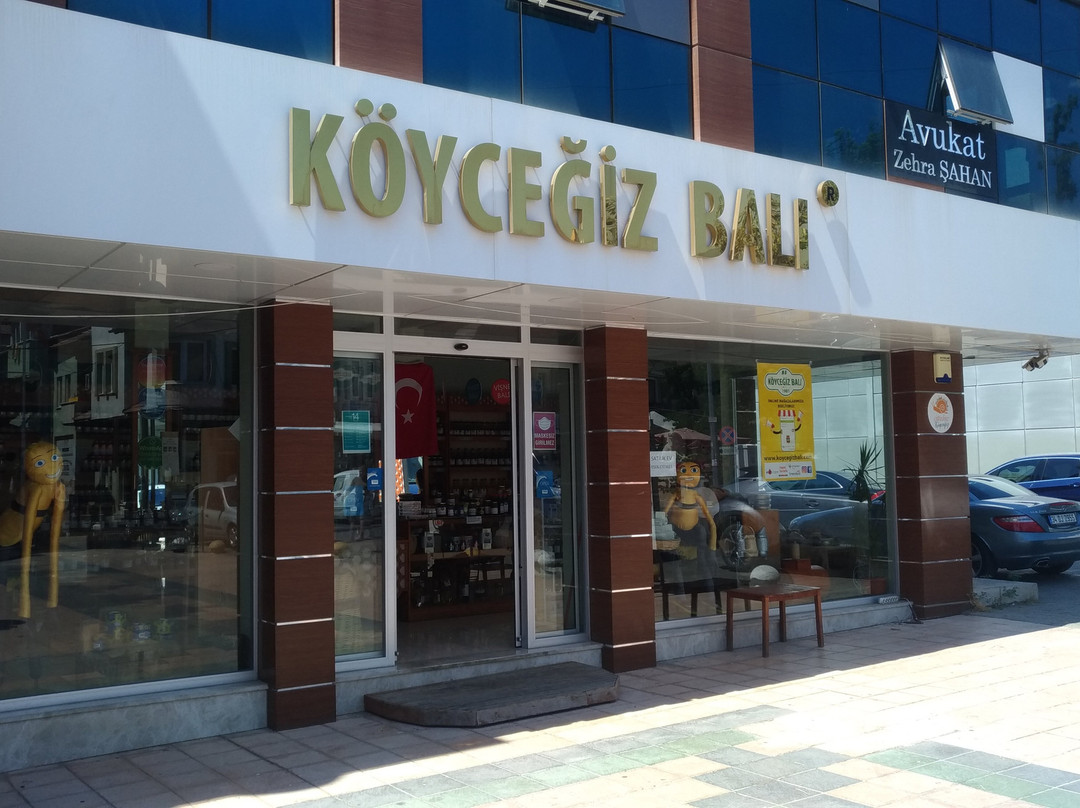 Koycegiz Bali景点图片