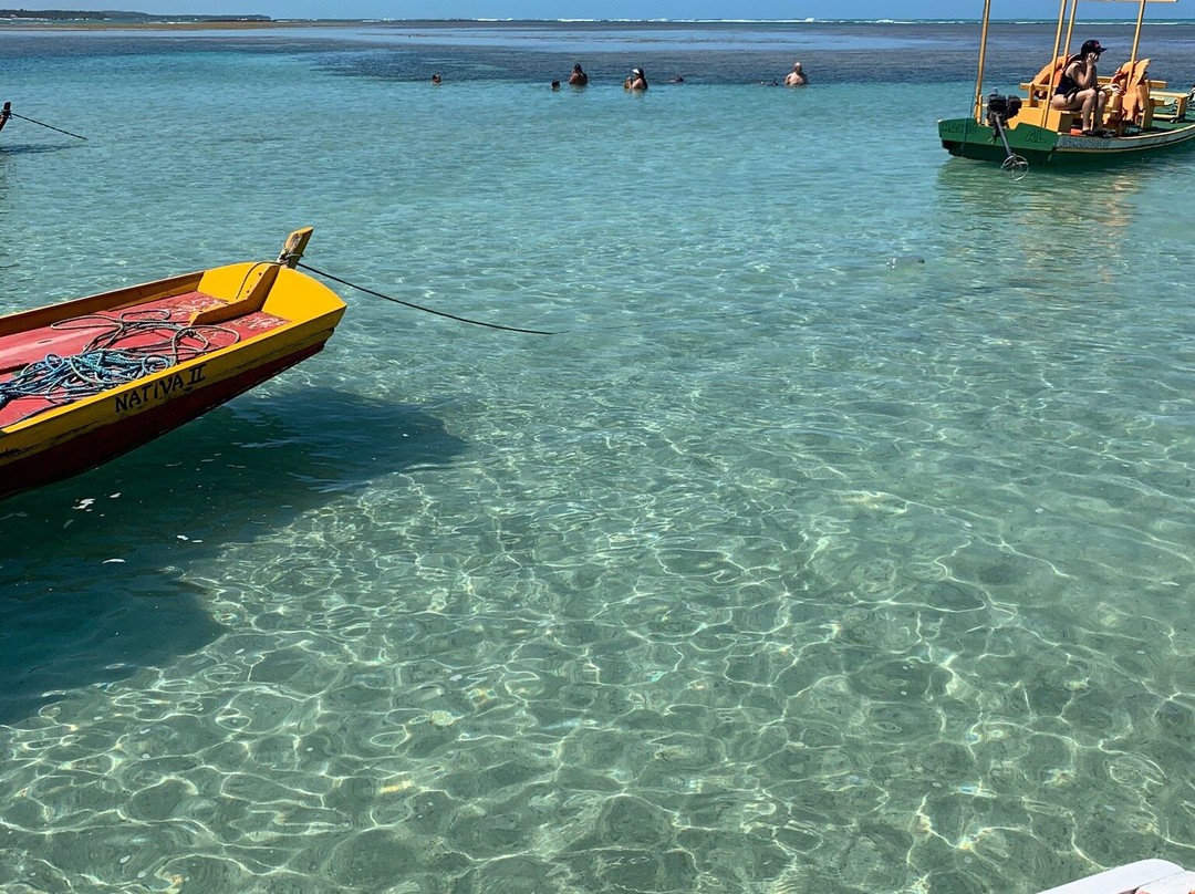 Mota Turismo-Maragogi必去景点