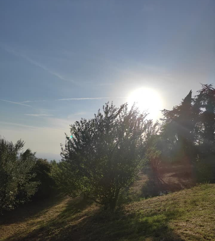 Agriturismo Villa Godenano - Pool&relax主图