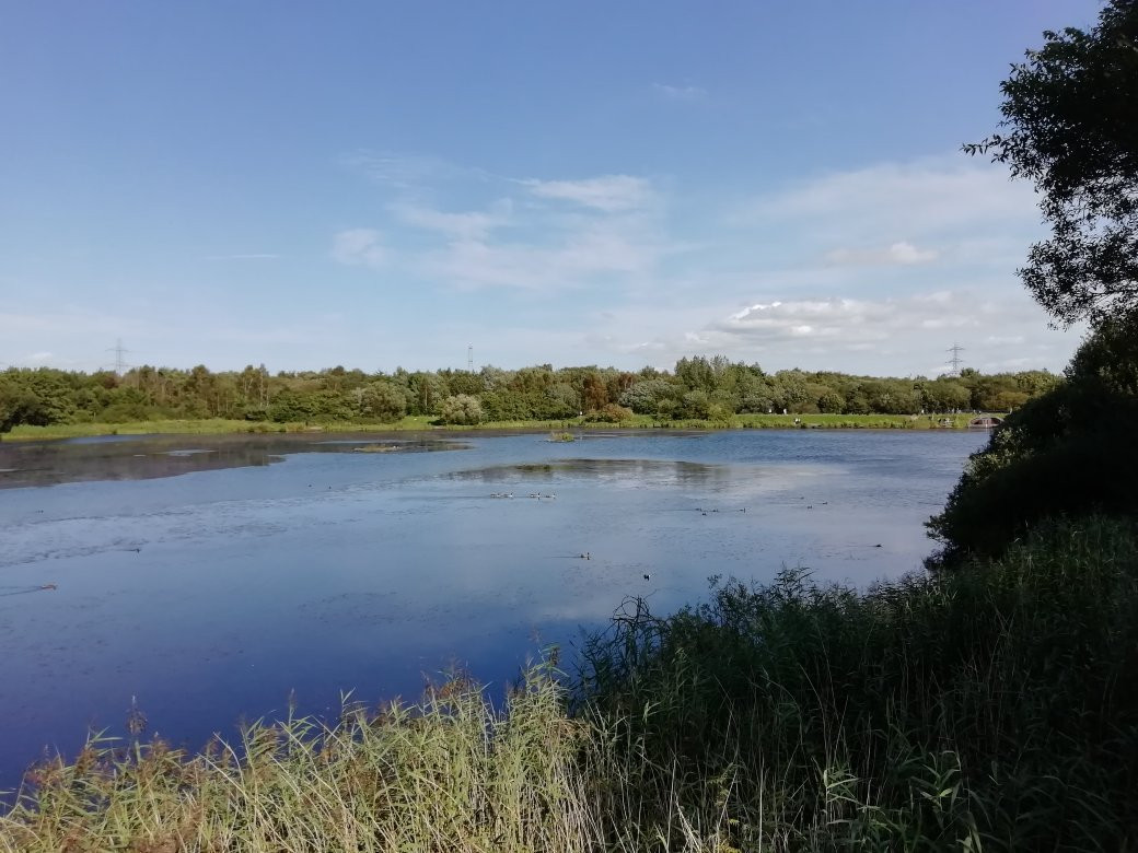 Blackleach Country Park景点图片