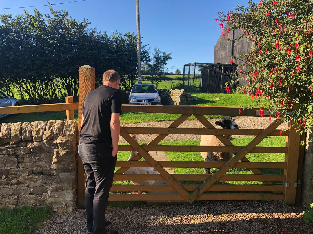 Low Gingerfield Farm B&B主图