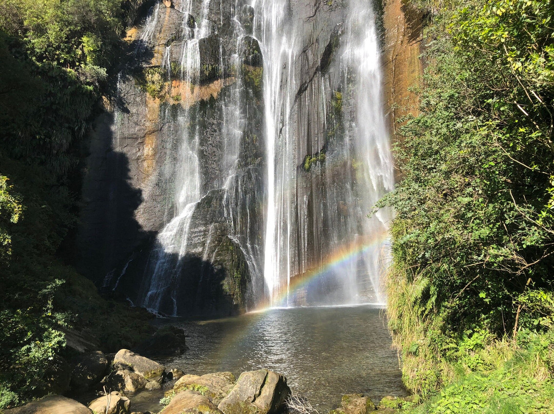 Shine Falls-纳皮尔必去景点