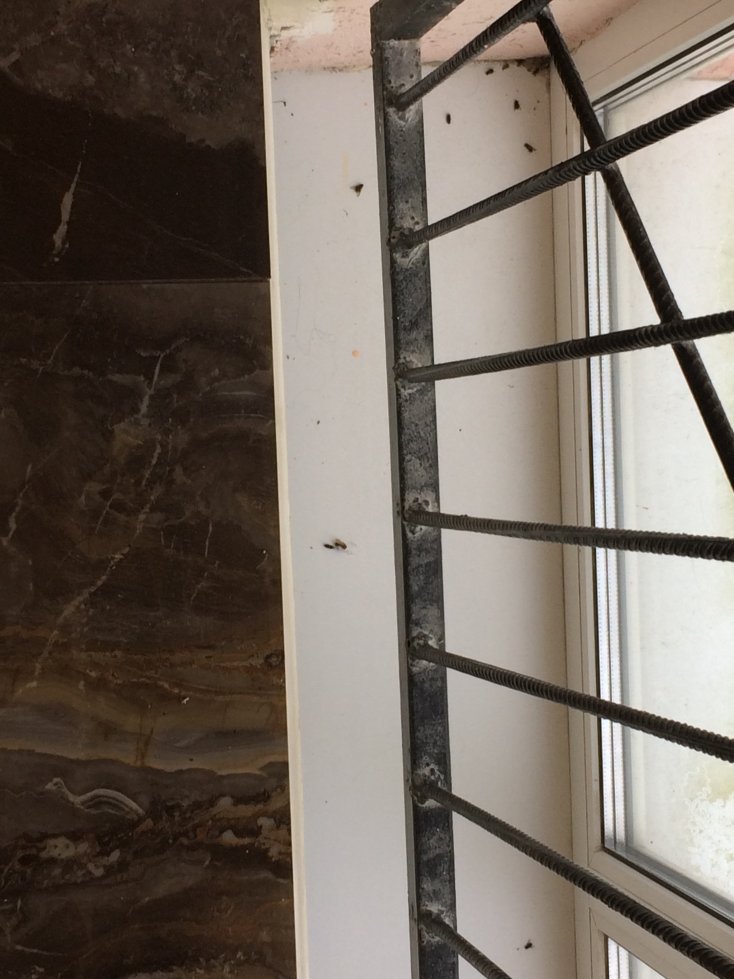 奥林普酒店-浴室