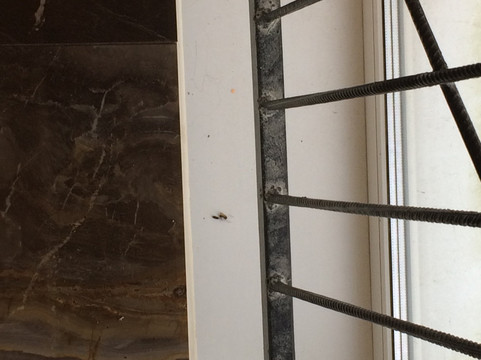 奥林普酒店主图