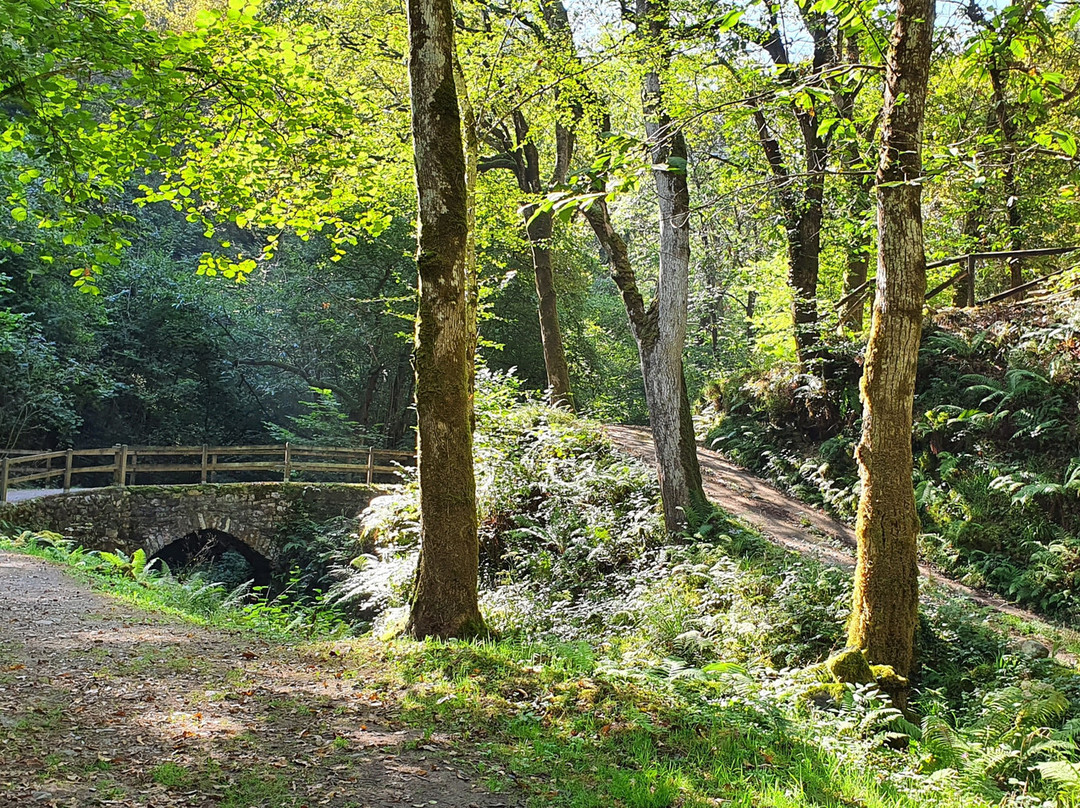 Área Recreativa del Chorrón-Villamayor必去景点