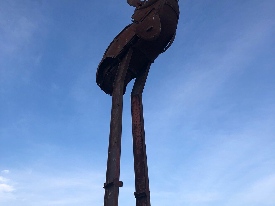 Stanley the Emu-Lightning Ridge必去景点