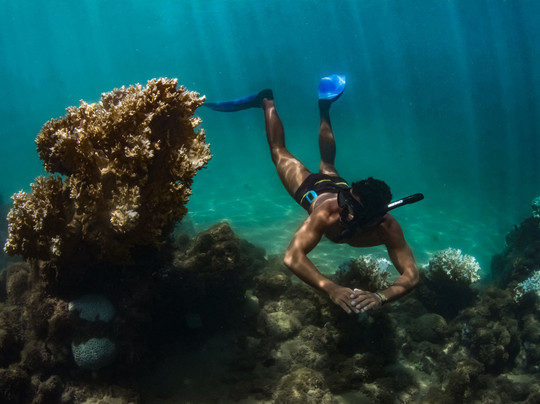 Experiencing Porto-嘎林海斯港必去景点