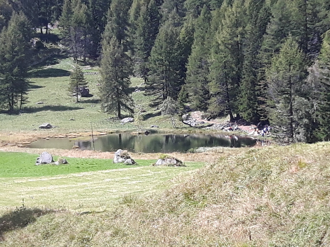 Lago Covel景点图片