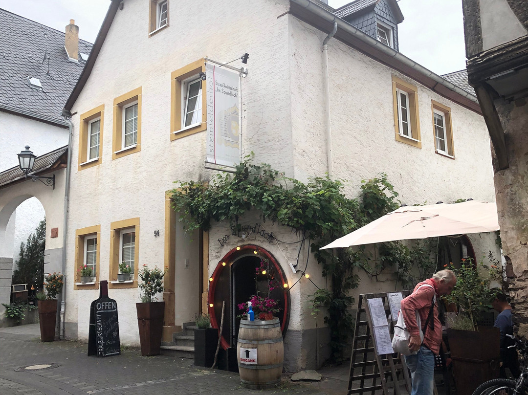 Steinfelderhof主图