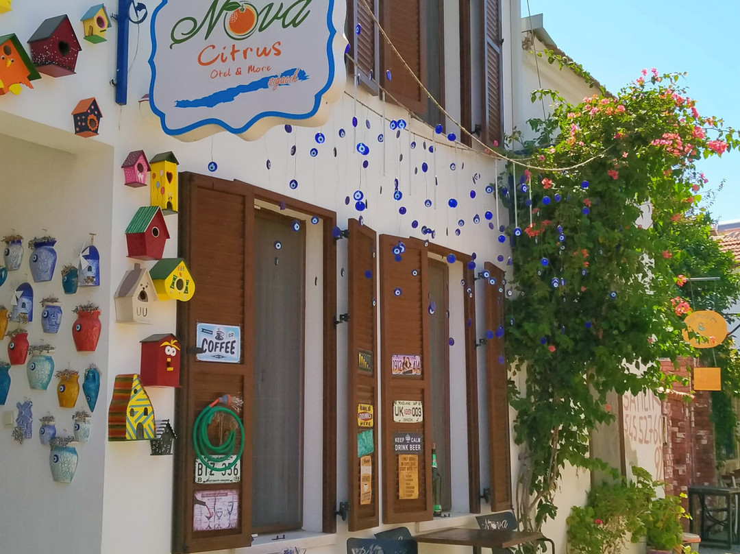 Nova Citrus  Hotel主图