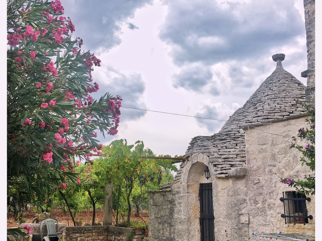 Il Trullo e il Fortino B&B主图