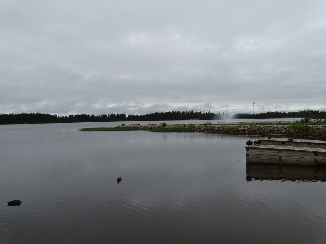 Cobb's Pond Rotary Park景点图片