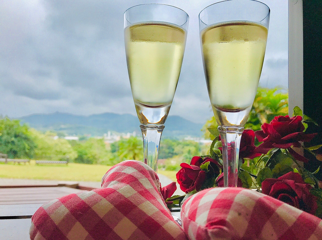 Hotel Bergblick主图