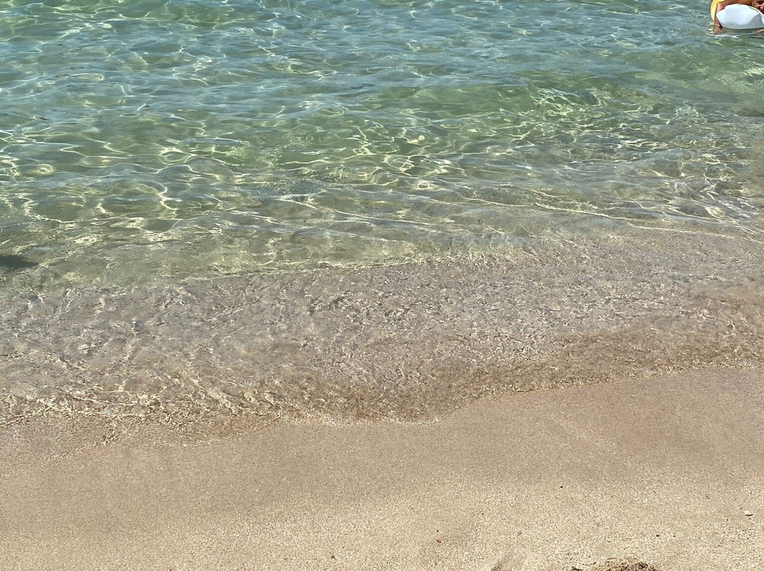 Lido Conchiglie Spiaggia