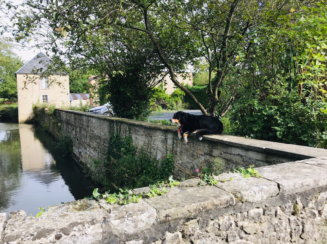 Chateau de Vouilly主图