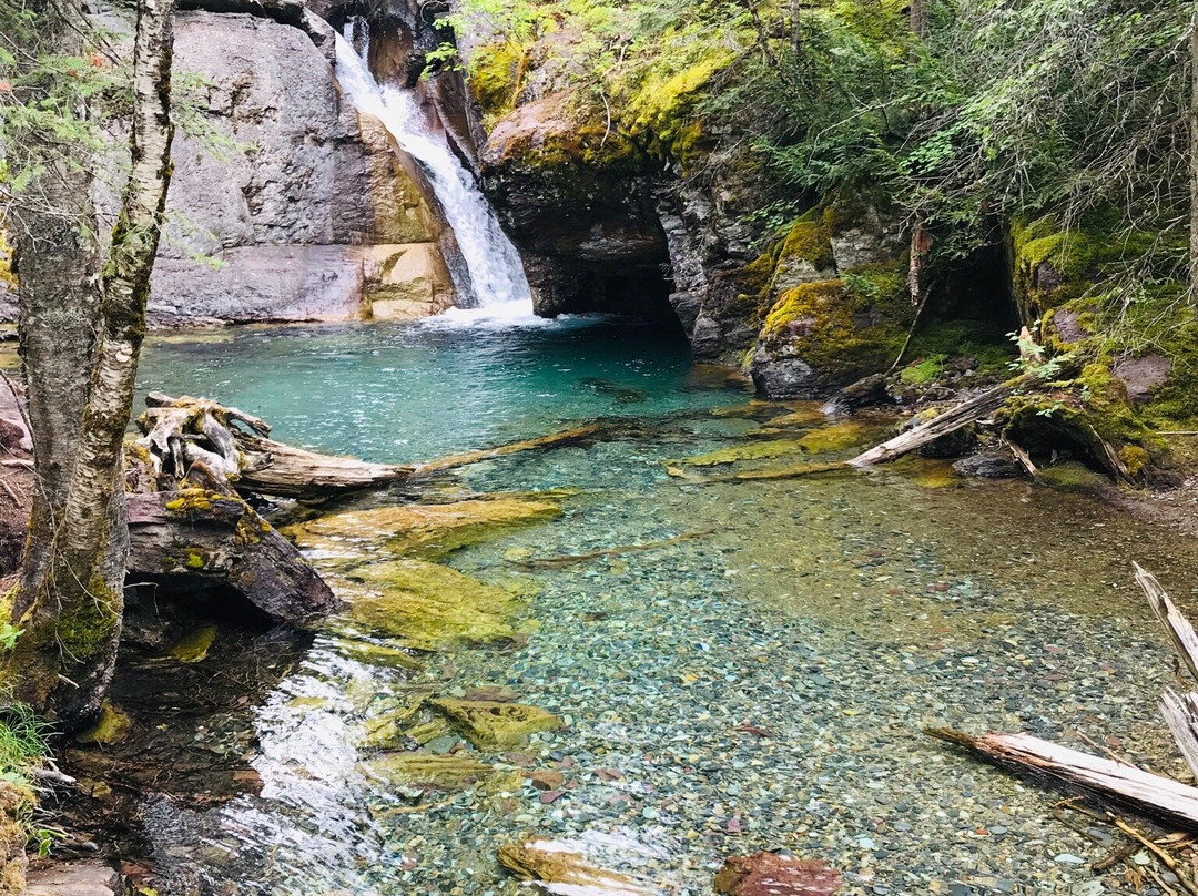 Swan Mountain Llama Trekking景点图片