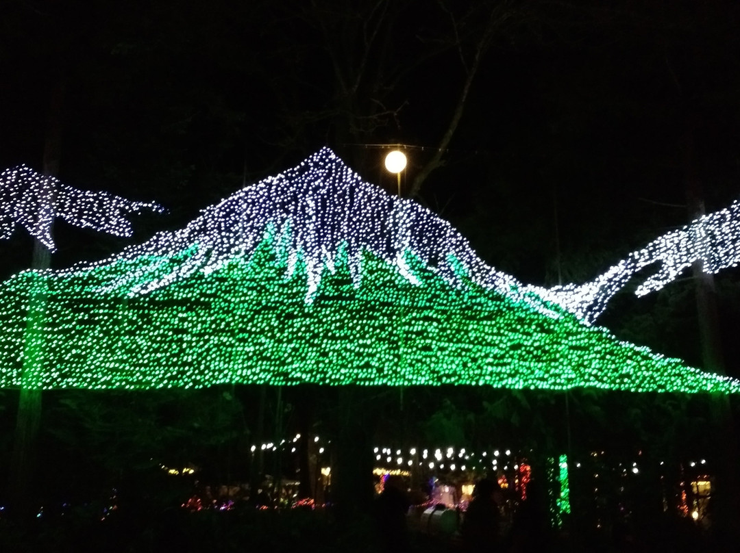 The Lights of Christmas