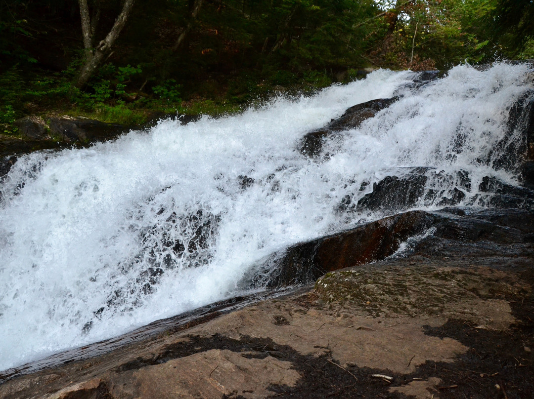Skeleton Lake Fish Hatchery Trail