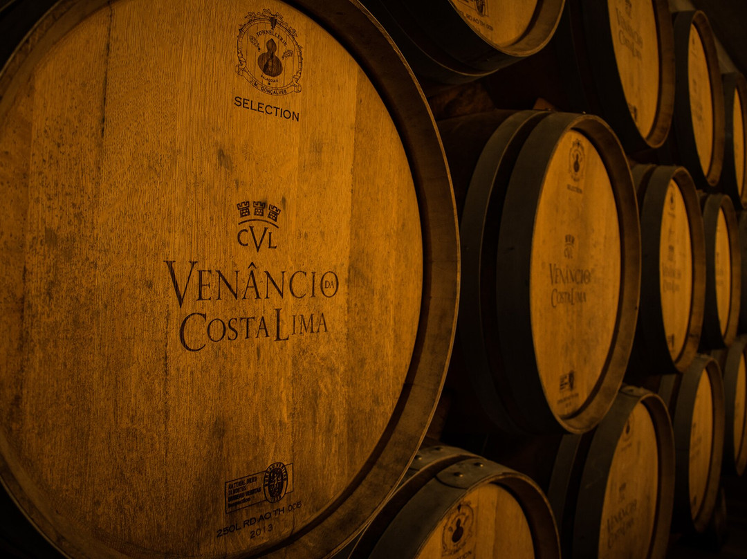 Venancio da Costa Lima-Palmela必去景点