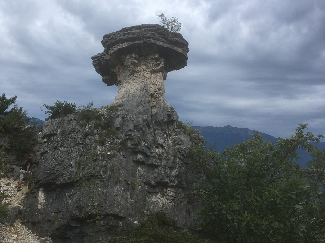 Fungo di Albaredo景点图片