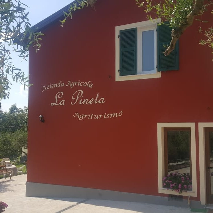 Cavanella Vara酒店住宿-Agriturismo La Pineta di Polverara