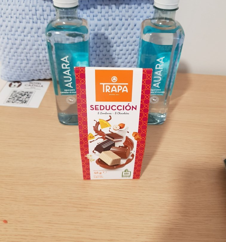 Hospedium Hotel Castilla Torrijos主图