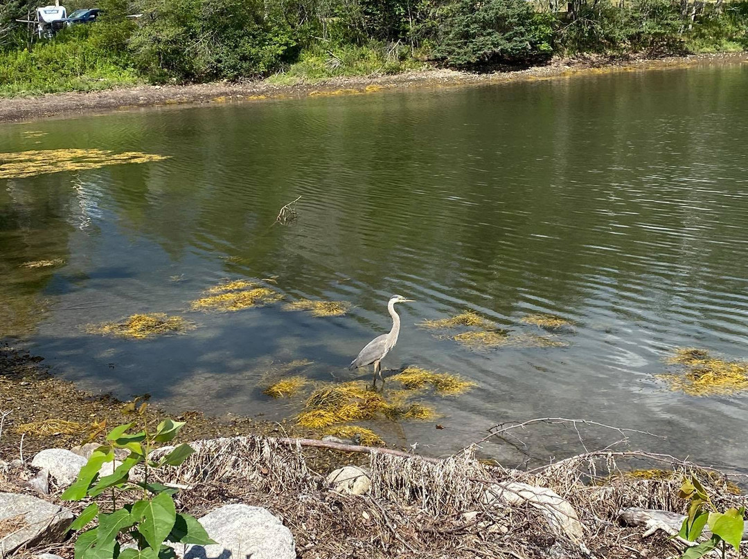 Salsman Provincial Park-Guysborough必去景点