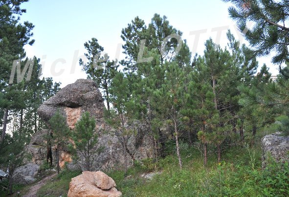 Under Canvas Mount Rushmore主图