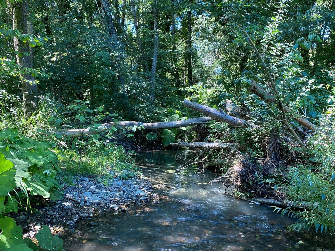 Acqua Trekking景点图片