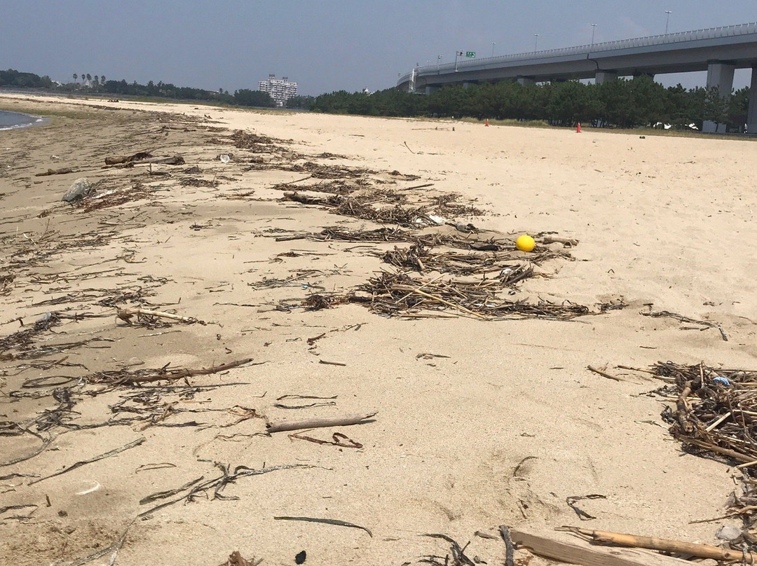 Nishikinohama Beach