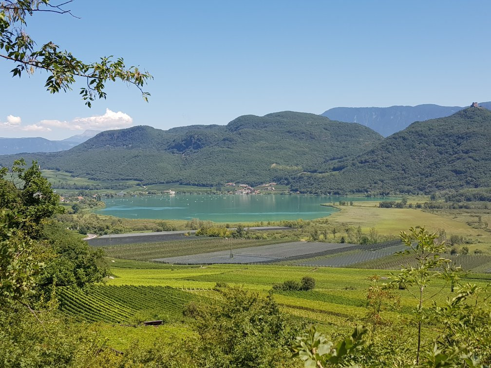 Hotel Winzerhof主图