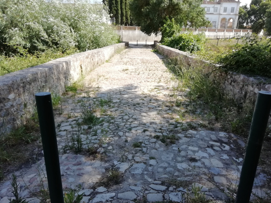 Ponte Romana De Muge景点图片
