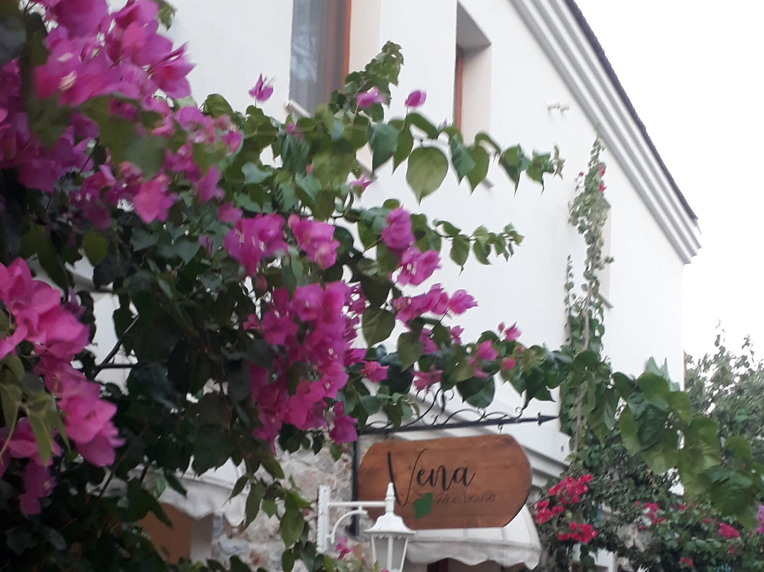 Vena Local Pub景点图片