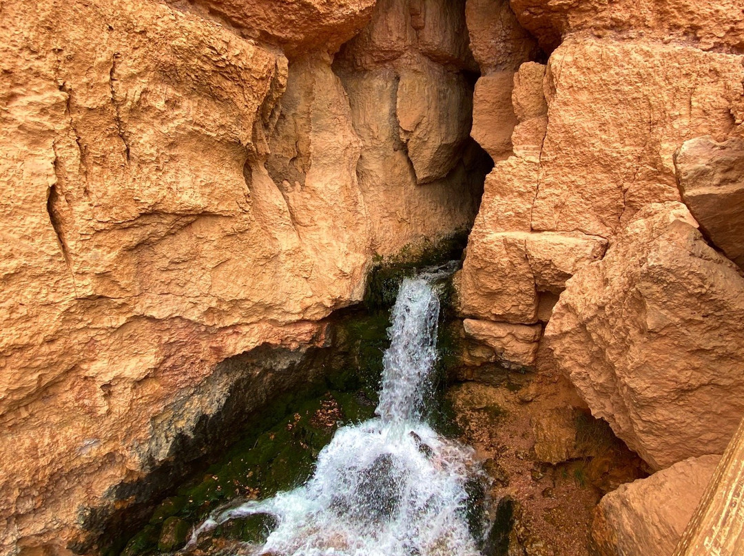 Cascade Falls Trail-锡达城必去景点
