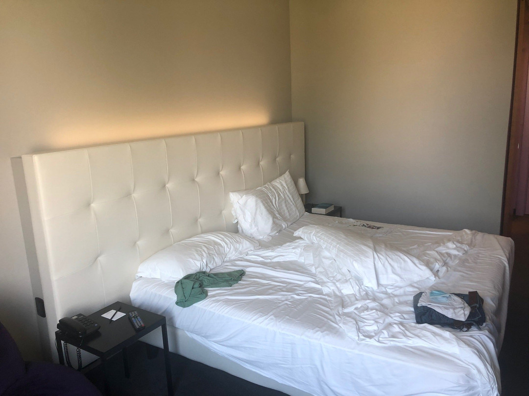 Cosmopolitan Business Hotel主图