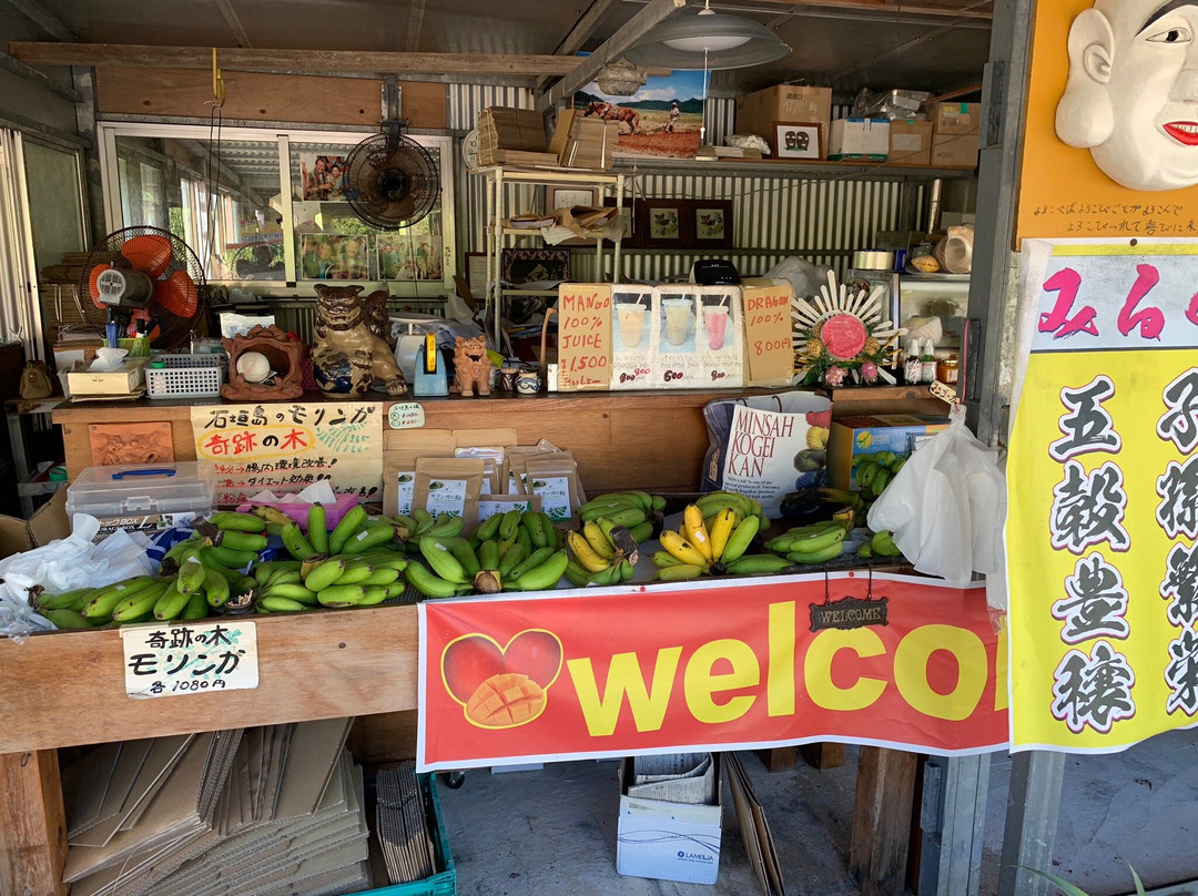 Ibaruma Farm Fruits Chokubaijo景点图片