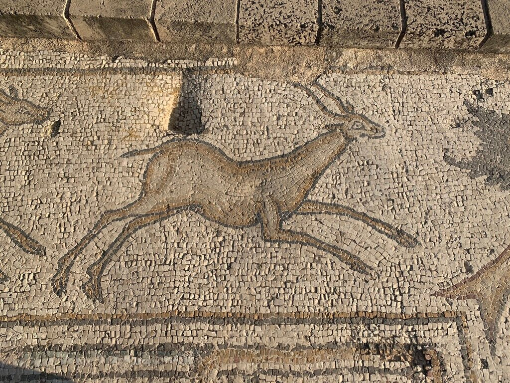 Segs Segway tours-凯撒利亚必去景点